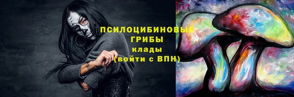 прущие крисы Белокуриха