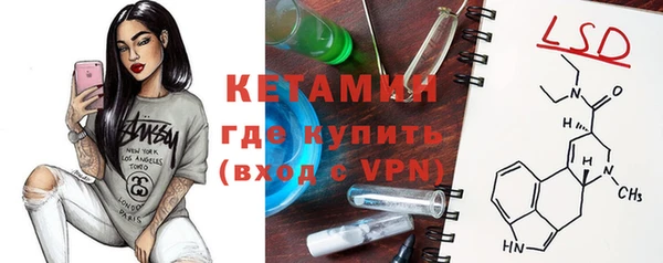 шишки Белоозёрский