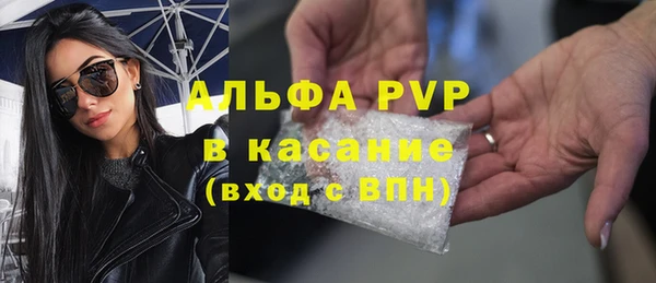шишки Белоозёрский