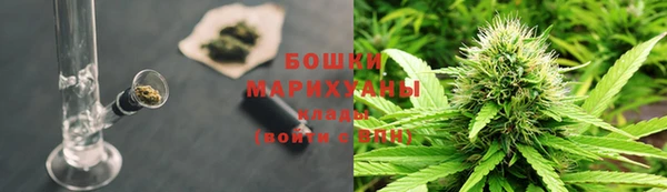 шишки Покачи