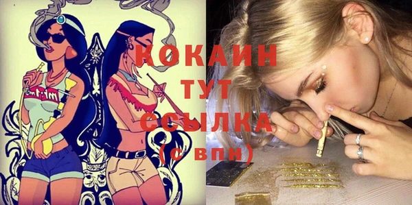 шишки Белоозёрский
