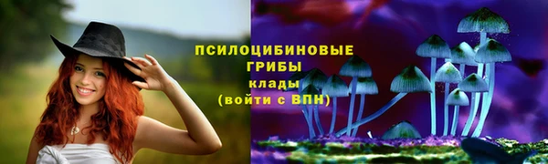 прущие крисы Белокуриха