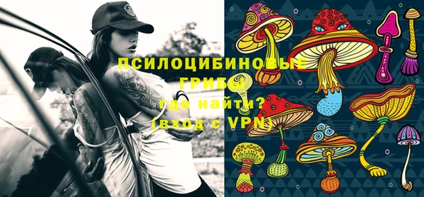 шишки Белоозёрский