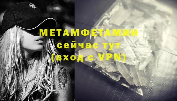 шишки Покачи