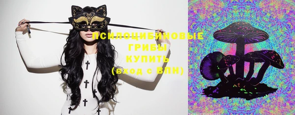 шишки Белоозёрский