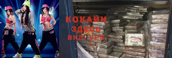 шишки Покачи